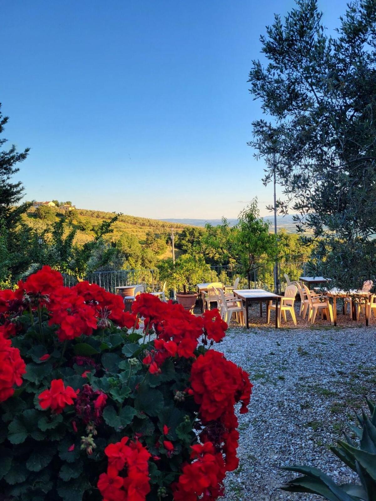 Agriturismo La Gioconda ヴィンチ エクステリア 写真