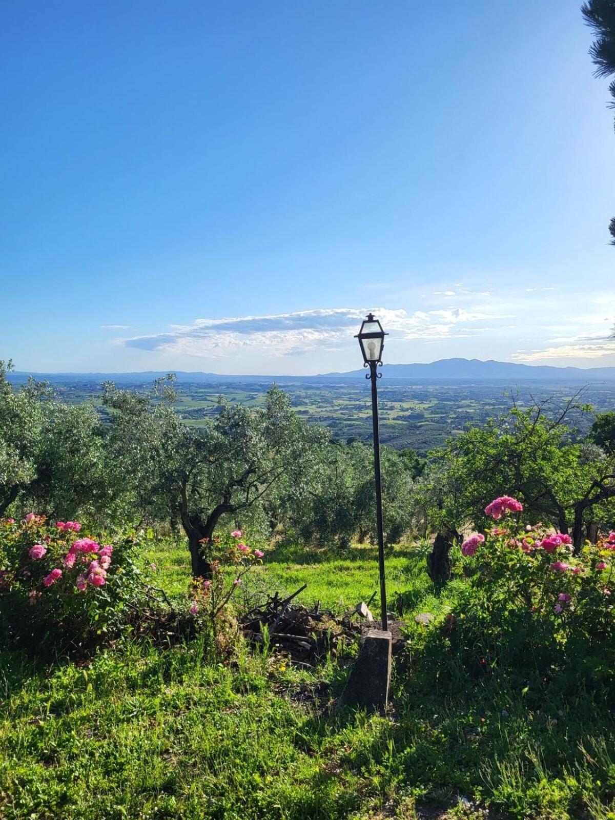 Agriturismo La Gioconda ヴィンチ エクステリア 写真